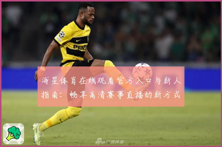 海星体育在线观看官方入口与新人指南：畅享高清赛事直播的新方式