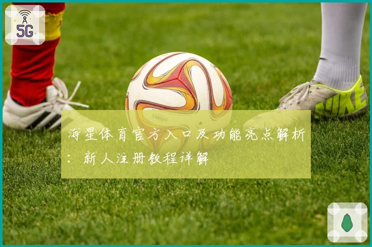 海星体育官方入口及功能亮点解析：新人注册教程详解
