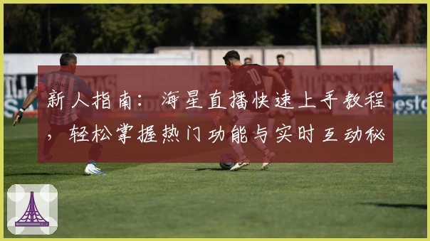 新人指南：海星直播快速上手教程，轻松掌握热门功能与实时互动秘诀