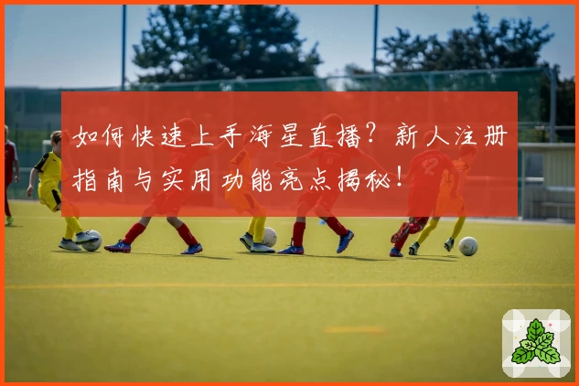 如何快速上手海星直播？新人注册指南与实用功能亮点揭秘！